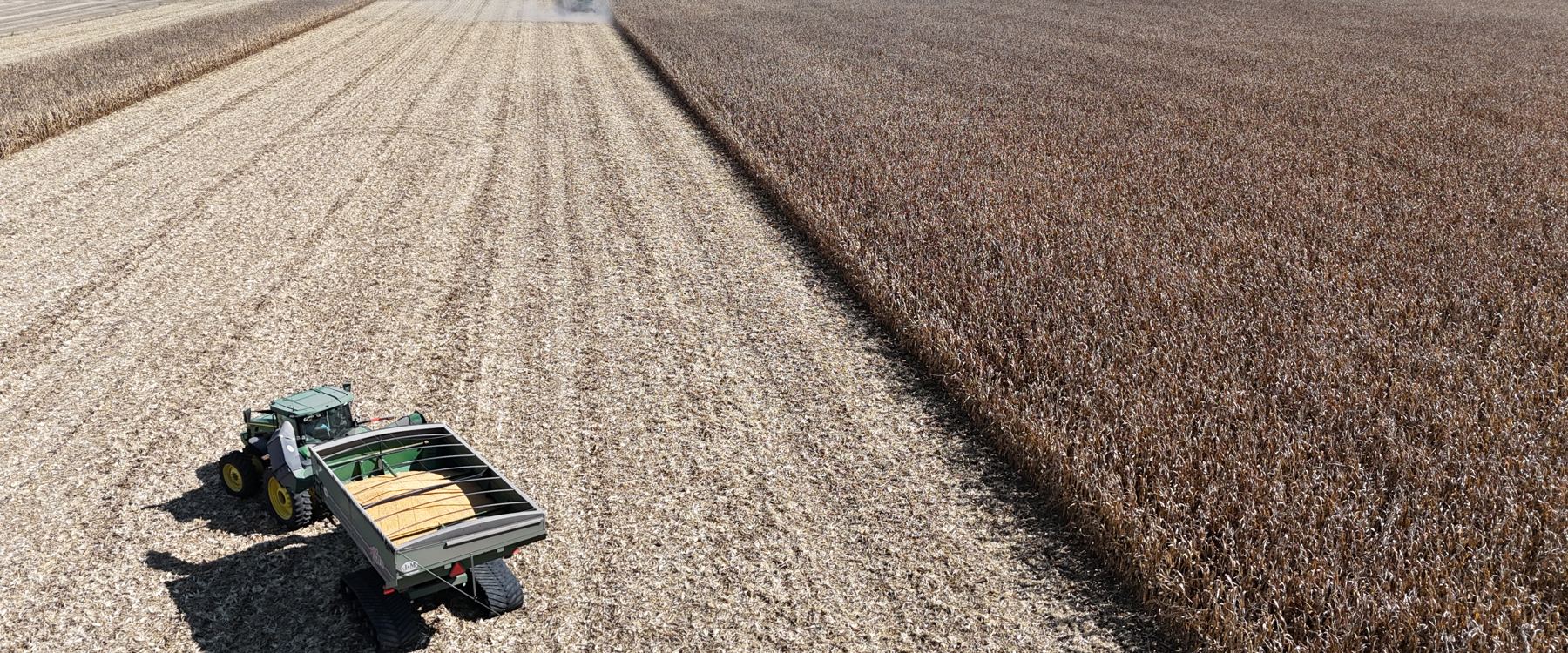 Aerial view of a corn field at harvest: a tractor and grain cart wait on the combined half while standing corn fills the other